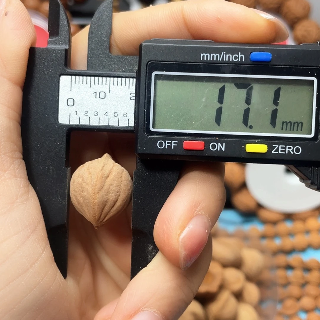 不***头桃核把件雕刻料散子17尺寸40颗