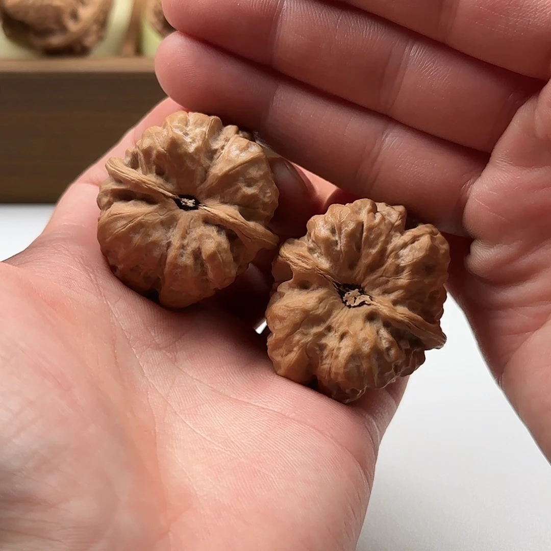 延庆蛤蟆山地果树