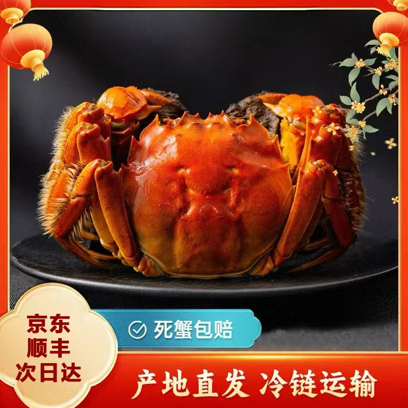【活蟹】蟹妞妞/阳澄大闸蟹+母蟹3.3两-3两每只/买8只送2只到手8只/现捕现捞京东顺丰空运明日达河蟹