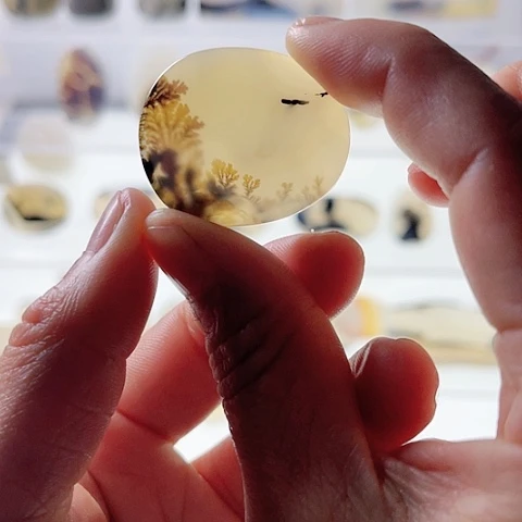 【闪购商品】玛瑙/玉髓珠宝半成品未镶嵌