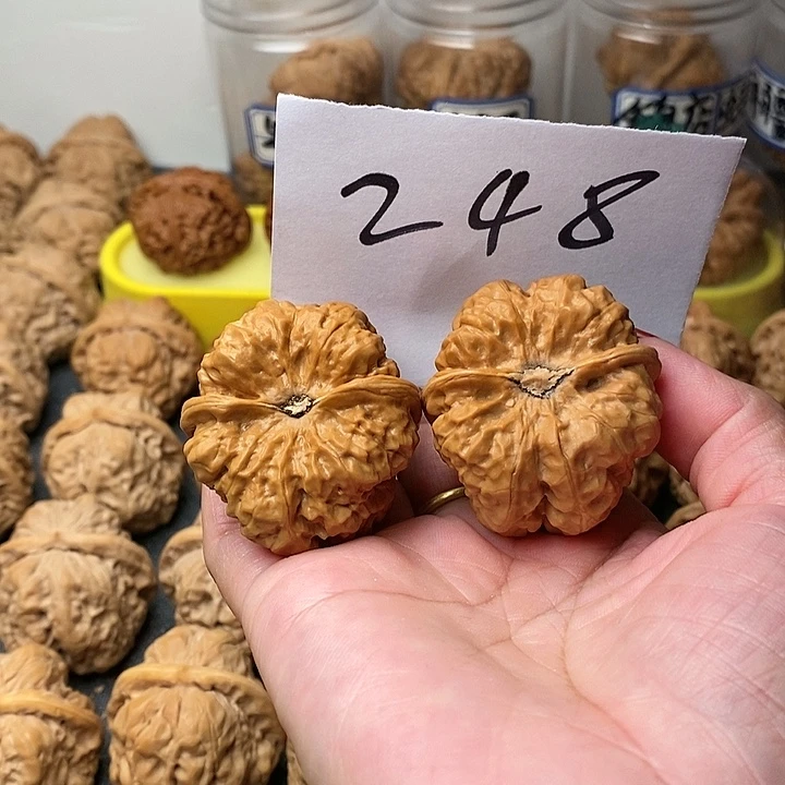 无***果吊坠文玩核桃蛤蟆洞等景名胜古迹和