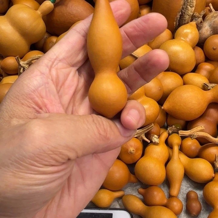 牡****士美少女的一把本本鸟葫芦