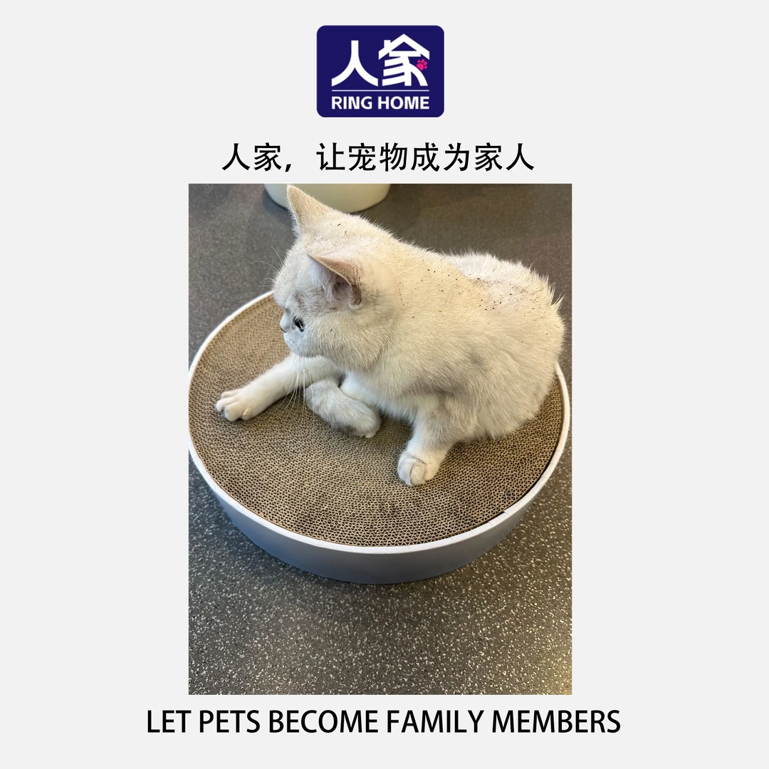 福利品 无色选择-圆形大号猫抓板甄选木纤维耐磨耐抓