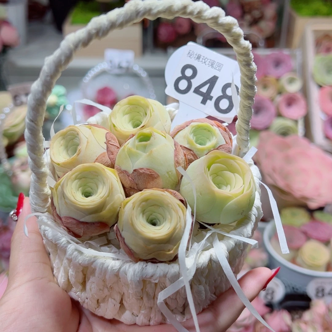 848一篮黄包子组合。