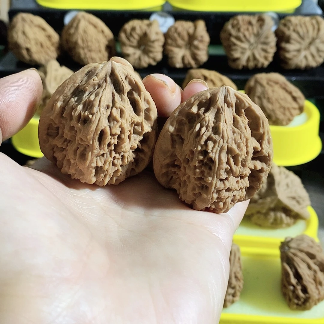 木质类今天是不是又