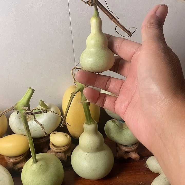 好***妥青皮腰子葫芦手把件