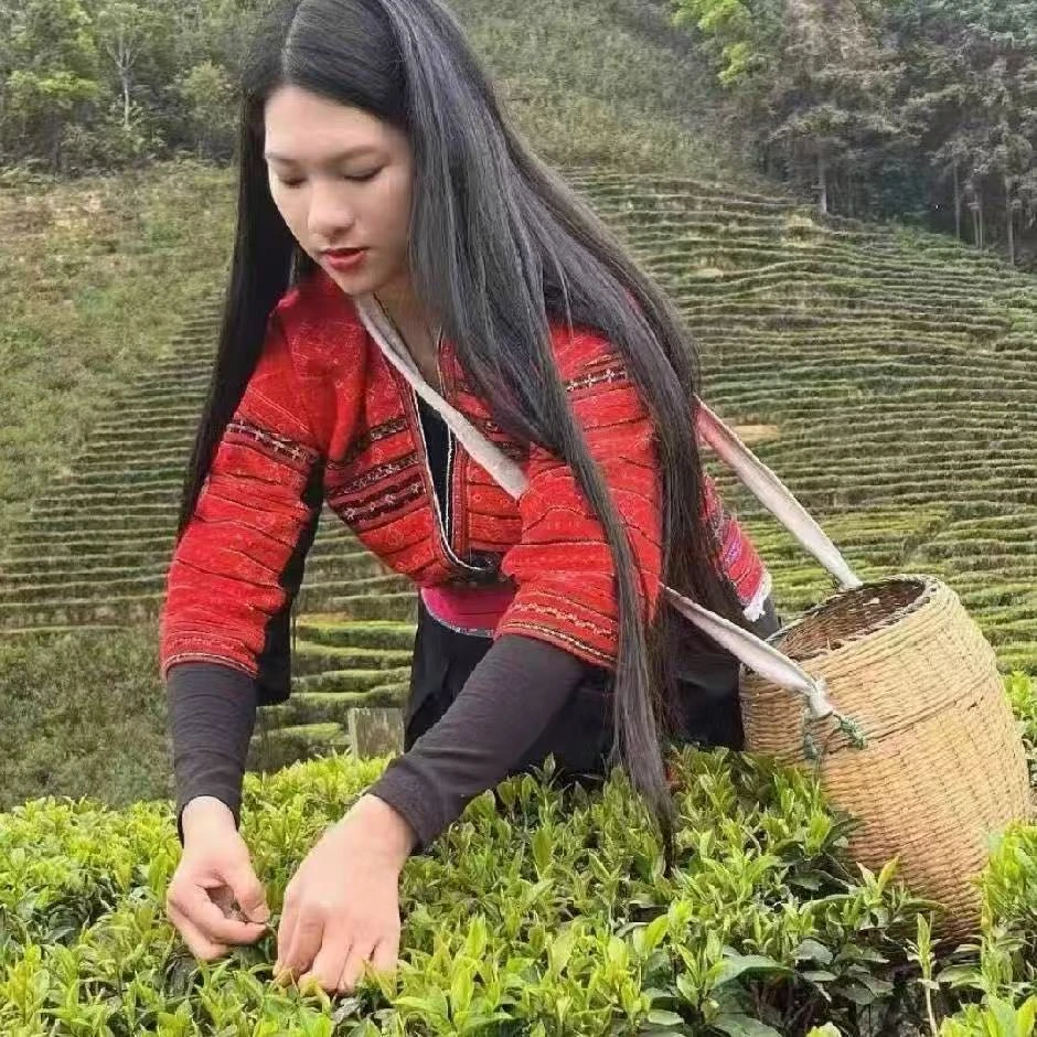 九妹私藏茶专用链接 开价前勿拍
