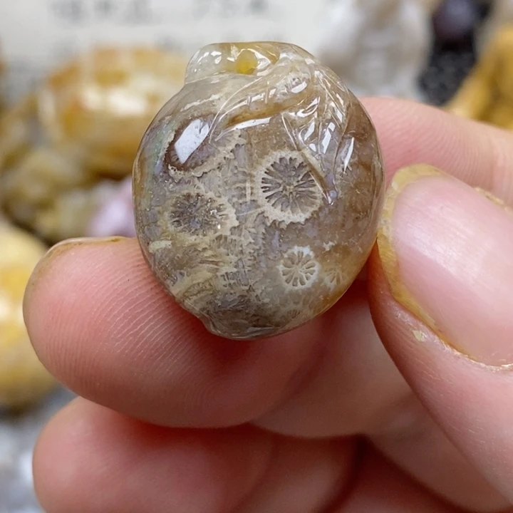 颈饰未镶嵌硅化珊瑚（珊瑚玉）有瑕 小
