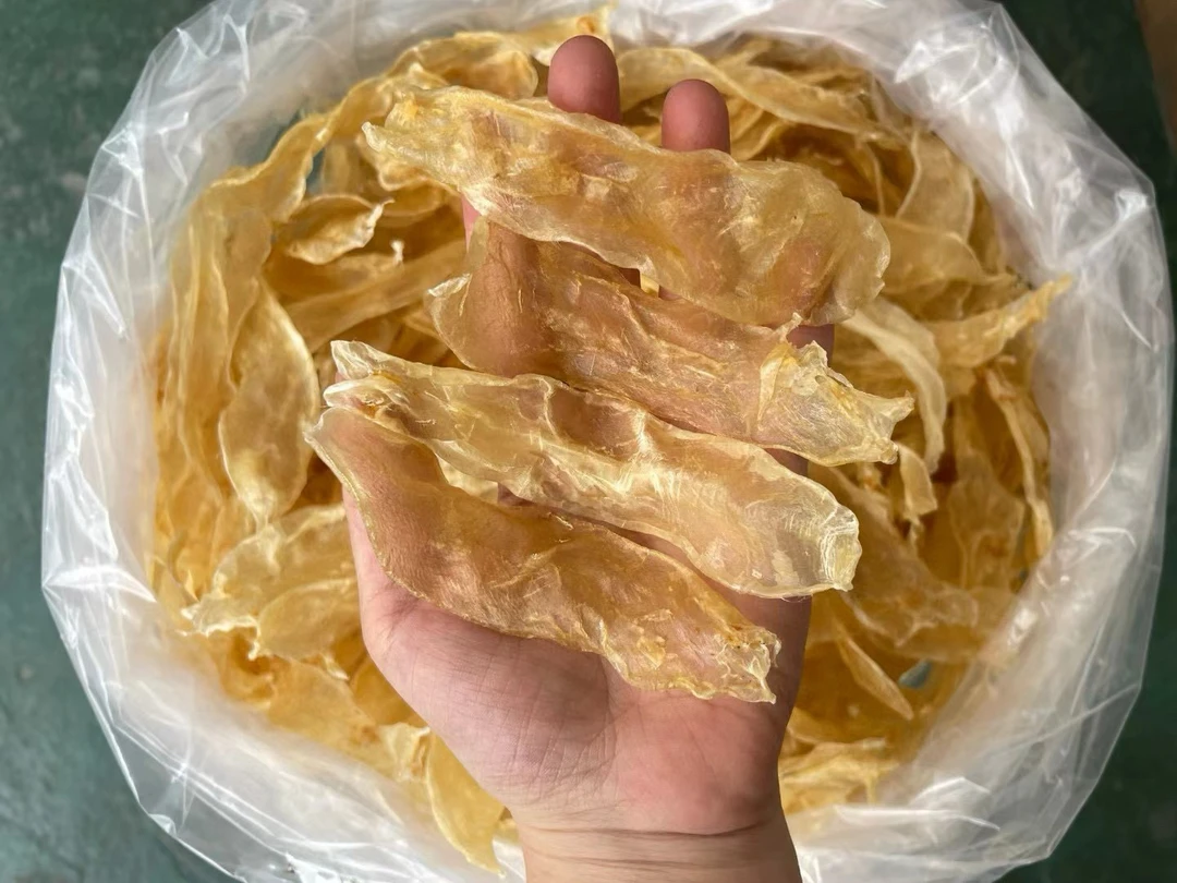 90头佐罗鱼胶原色干货可用于煲汤