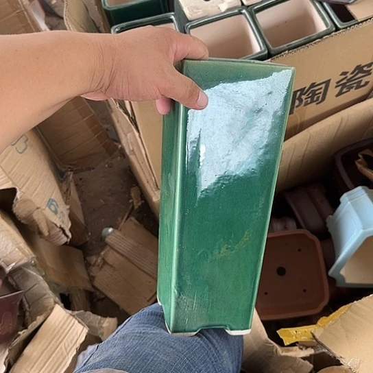 是因为她太喜欢了所以