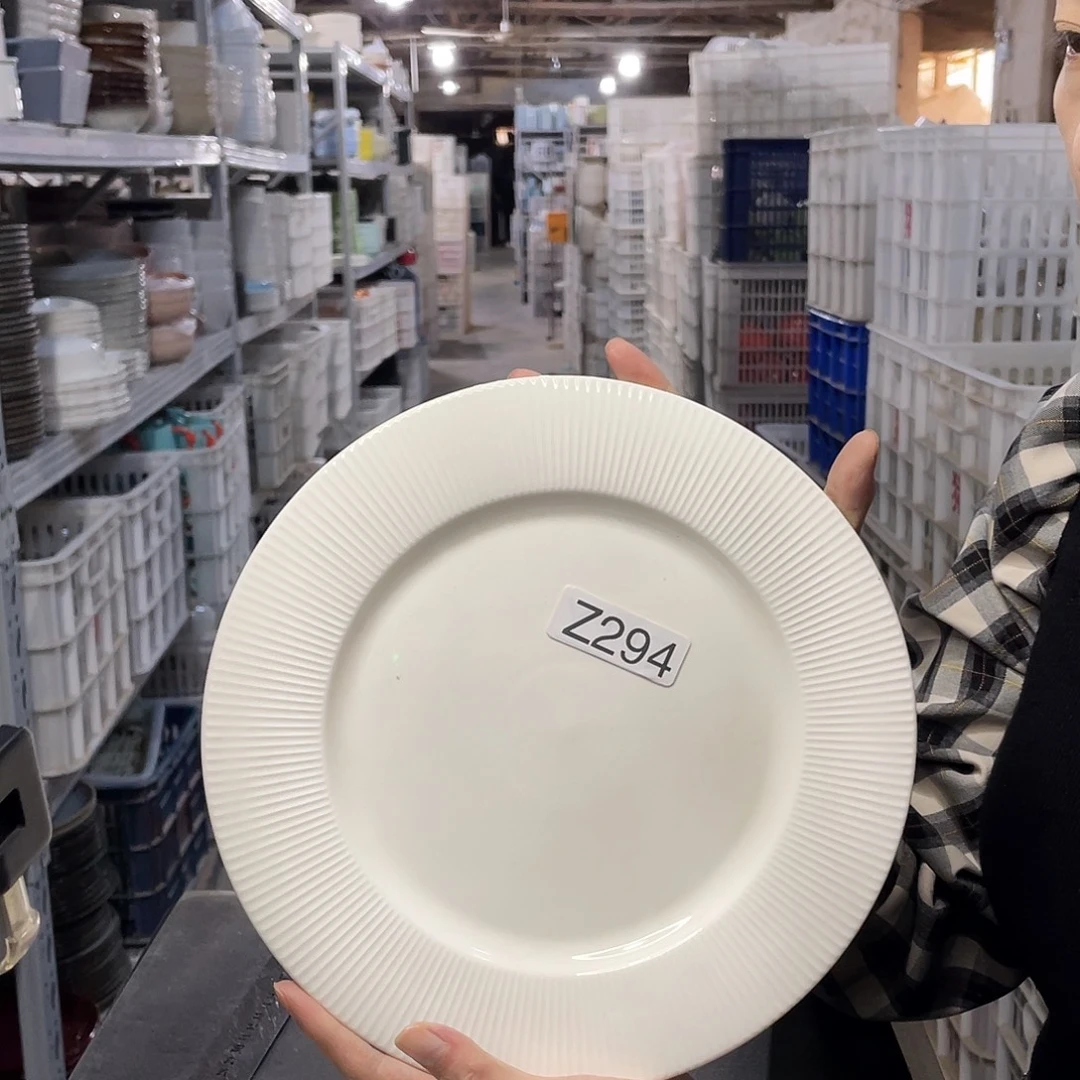 瓷片294               2个