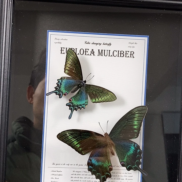 大理石磁石绿带2只10寸框