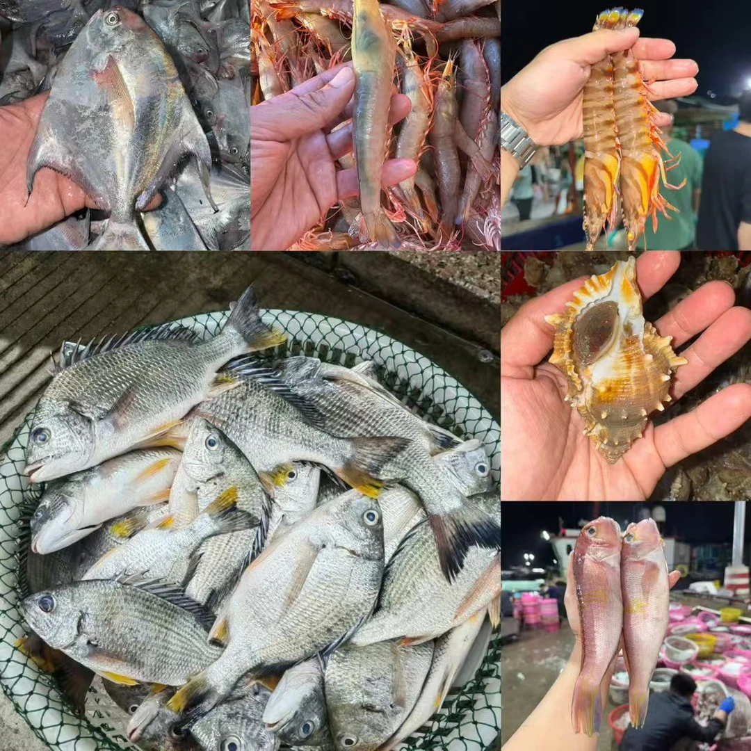 野生海捕（精品沙红介） 直播间链接以直播间为准