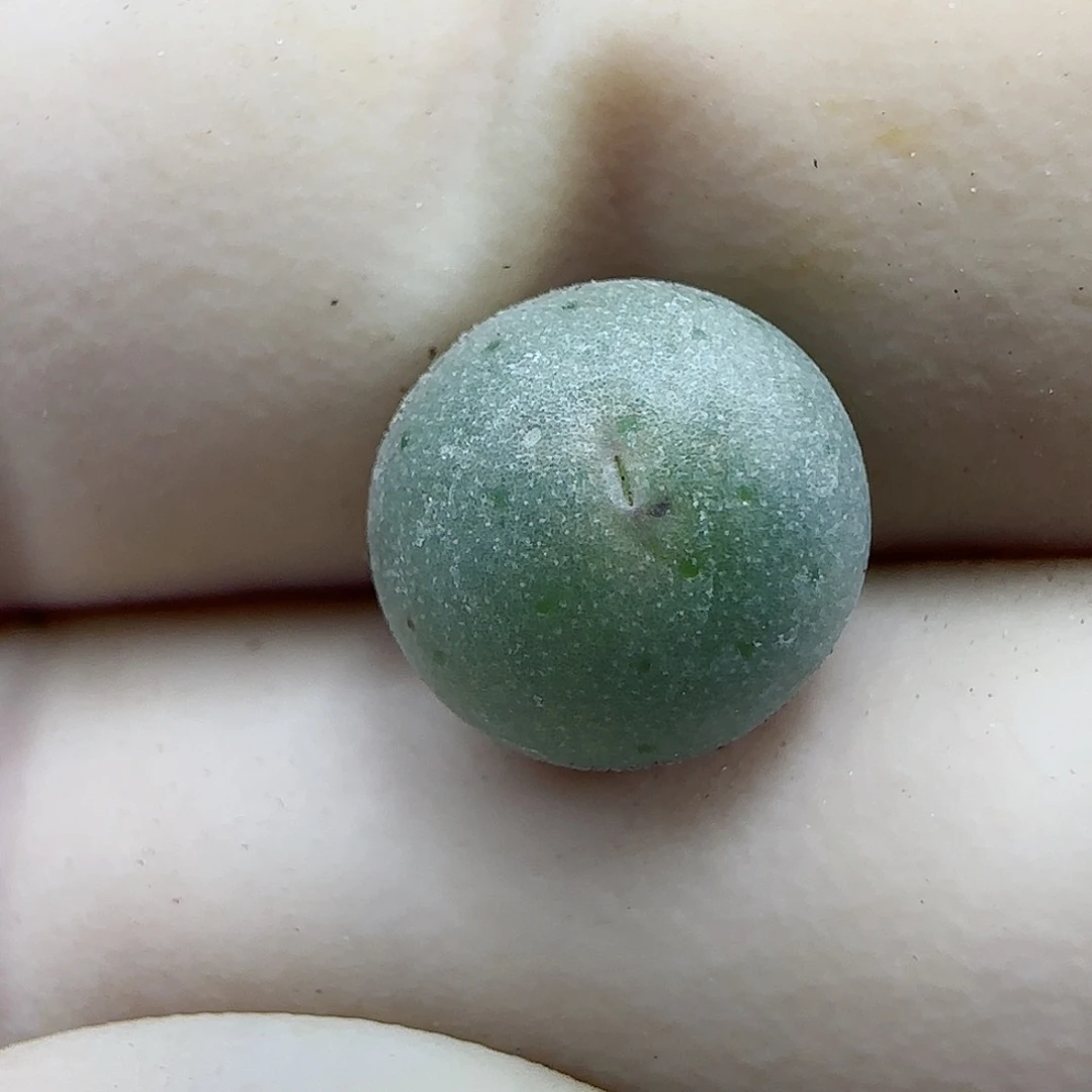 801福利福利福利