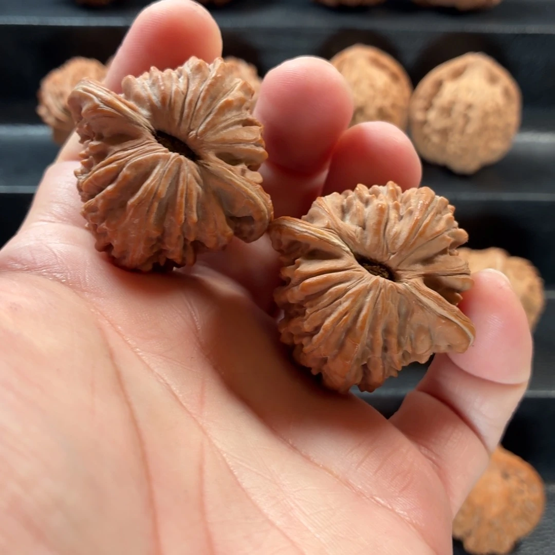 桃核把件蓟县山地楼41