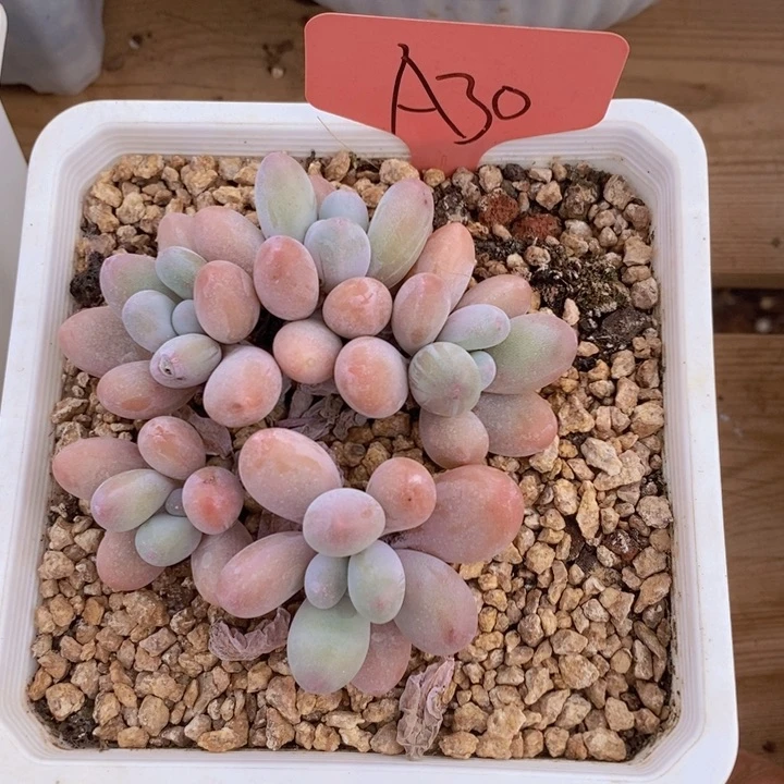 这种事情发生以后还想