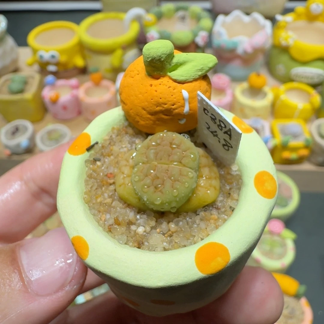 红陶蘑菇379黄绿富贵