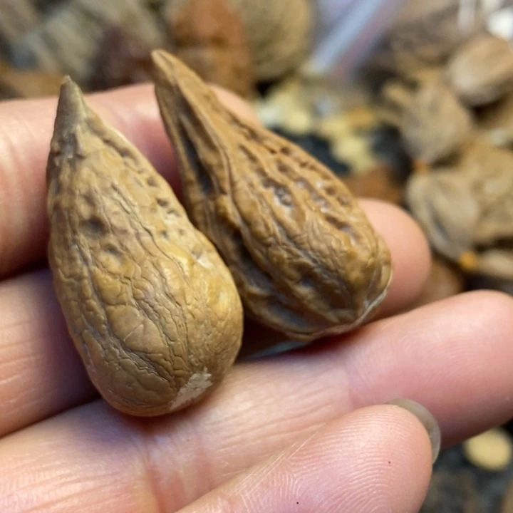 吊坠文玩核桃娜姐149