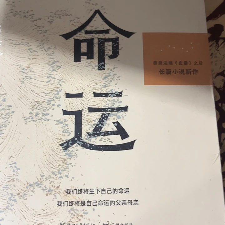 命运新书推荐全新