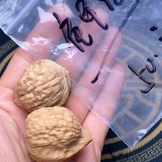 【闪购商品】文玩核桃吊坠鬼甲纹