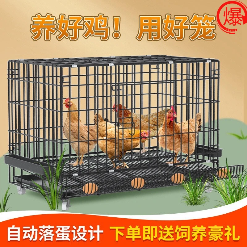 家庭鸡笼多层鸡笼鸭笼狗笼鸡笼子大号特大养殖笼自动清粪鸡舍家用