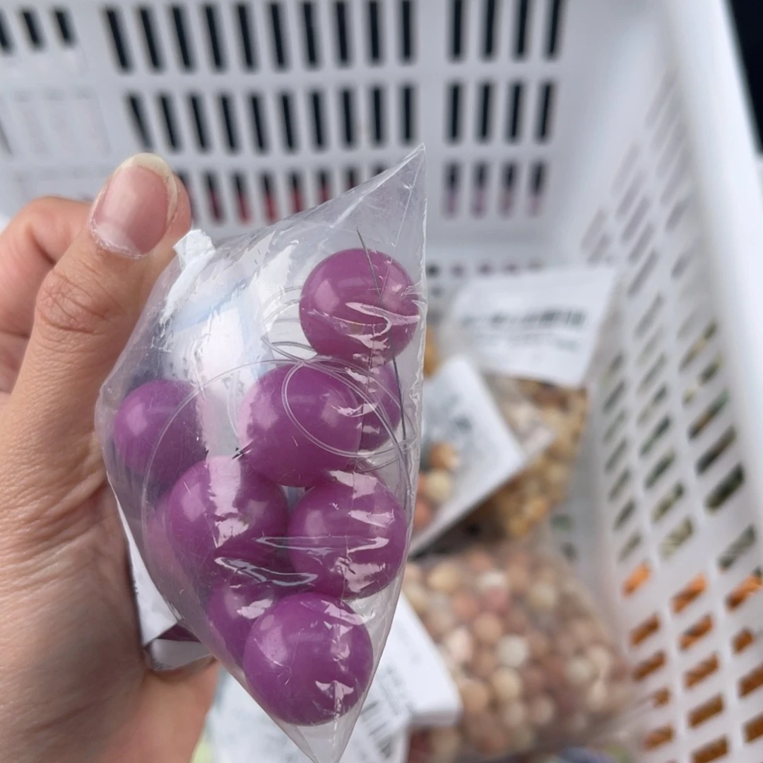 白玉菩提吊坠z12mm 锅底福利不售后