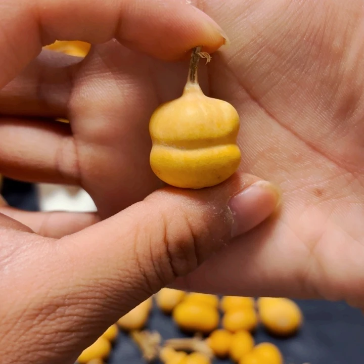 @****座8888888888888888888