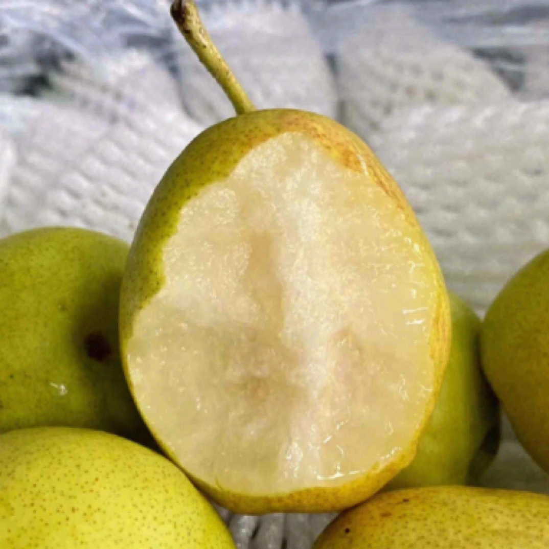 【坏果包赔】新疆库尔勒香梨（约2斤±30g）