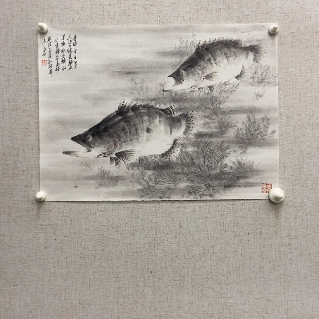 某***某国画墨鱼精品墨鱼精品