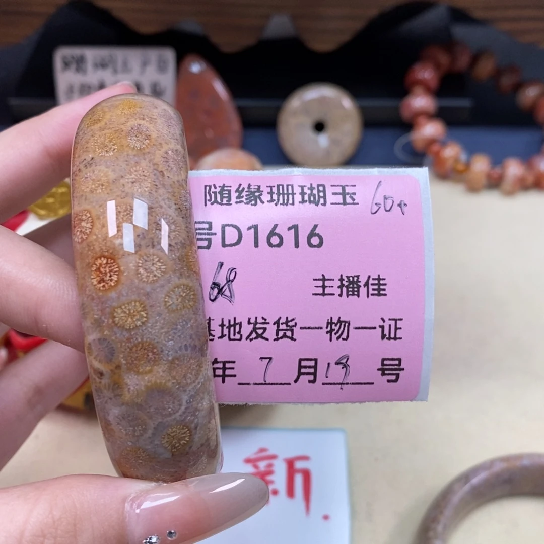 硅化珊瑚（珊瑚玉）D1616未镶嵌渊*