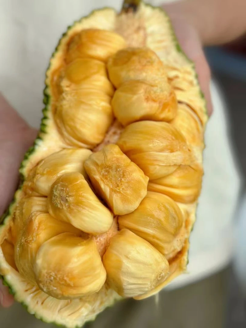 【坏果包赔】流连迷1粒 （生劈不售后）5.5斤以下规格