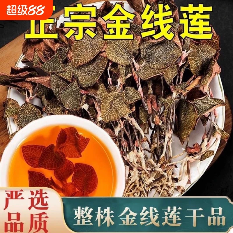精选福建山里金线莲