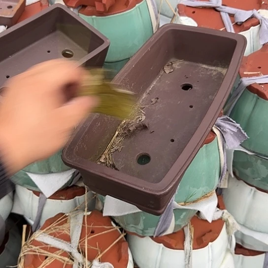 一定很有成就感我在想要是不