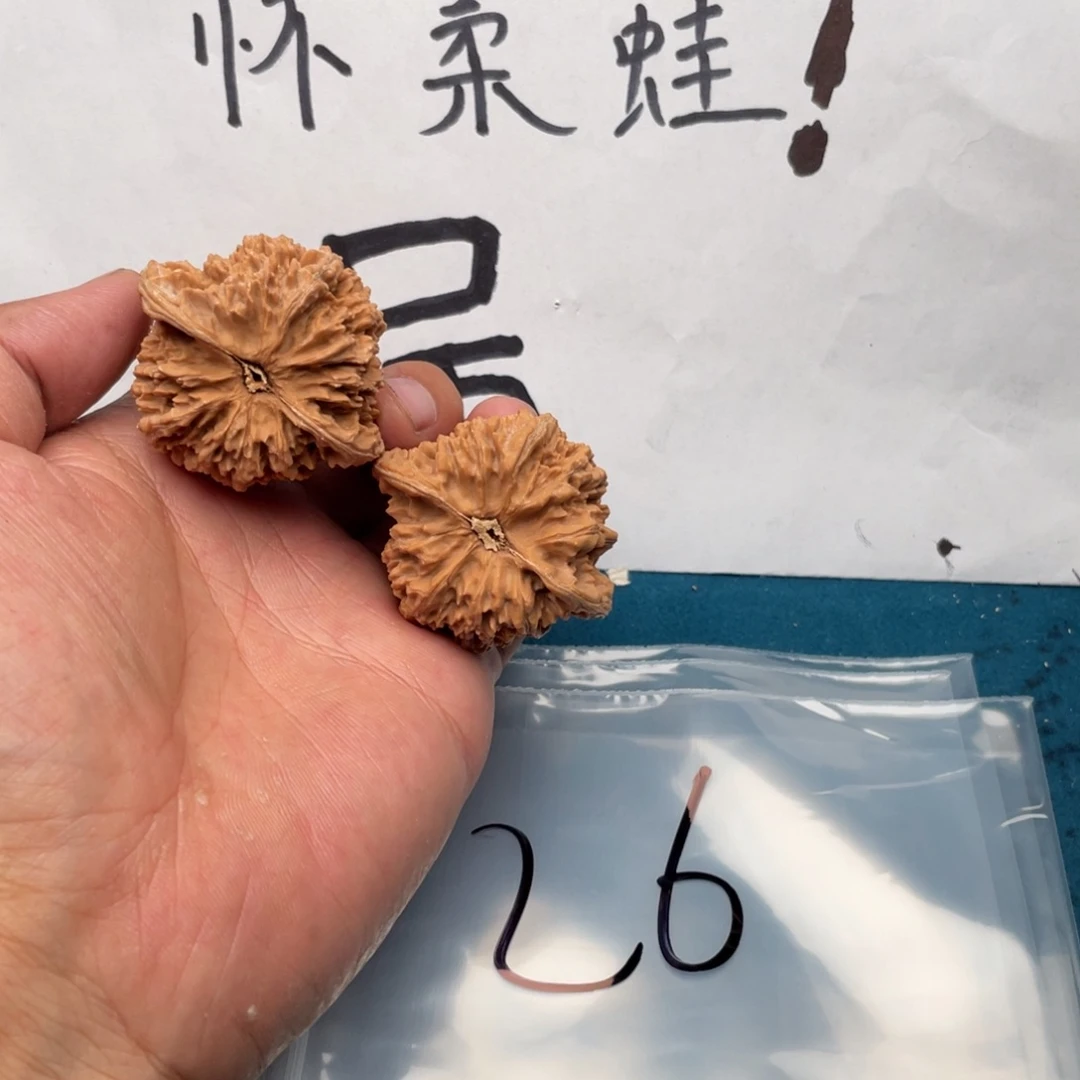 文玩核桃吊坠Hochixhixhodfgoxi