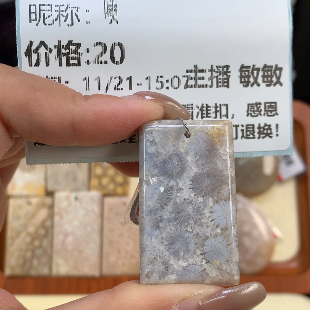 【闪购商品】颈饰未镶嵌硅化珊瑚（珊瑚玉）啧*