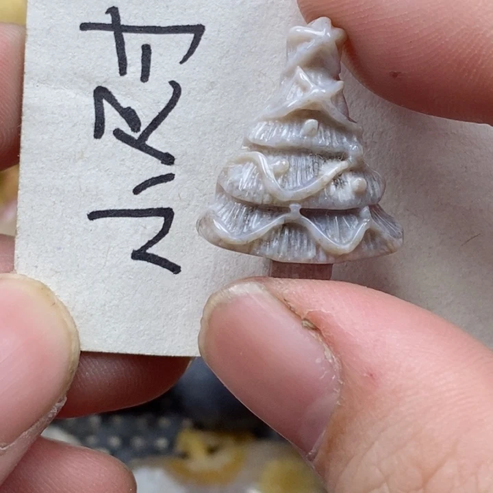 颈饰未镶嵌硅化珊瑚（珊瑚玉）