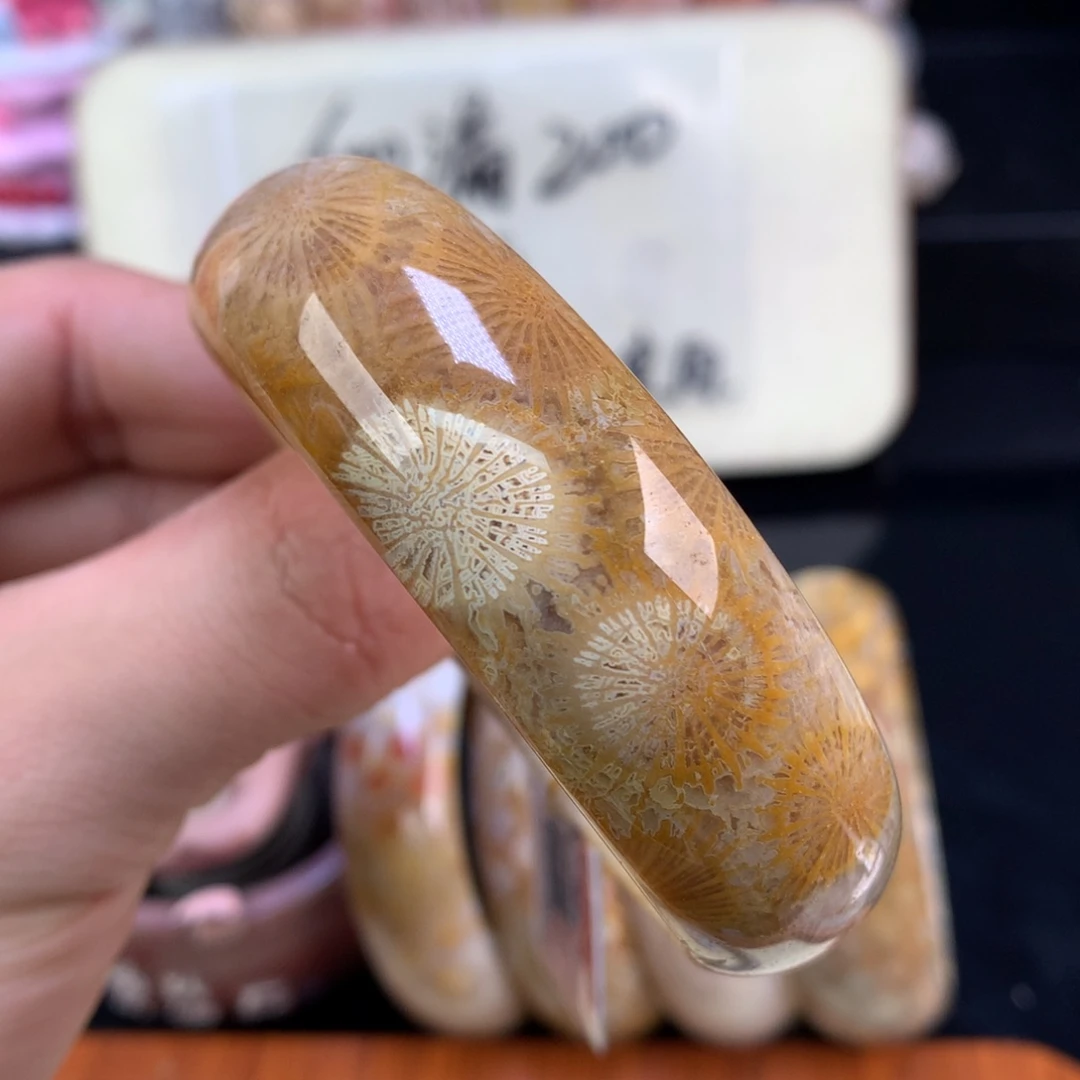 硅化珊瑚（珊瑚玉）未镶嵌颈饰82号大花带皮大花56圈