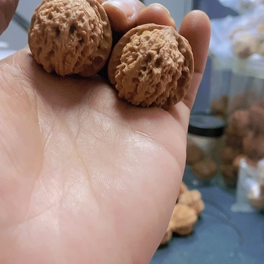 【闪购商品】把件文玩核桃31.5蚂蚁沟小众