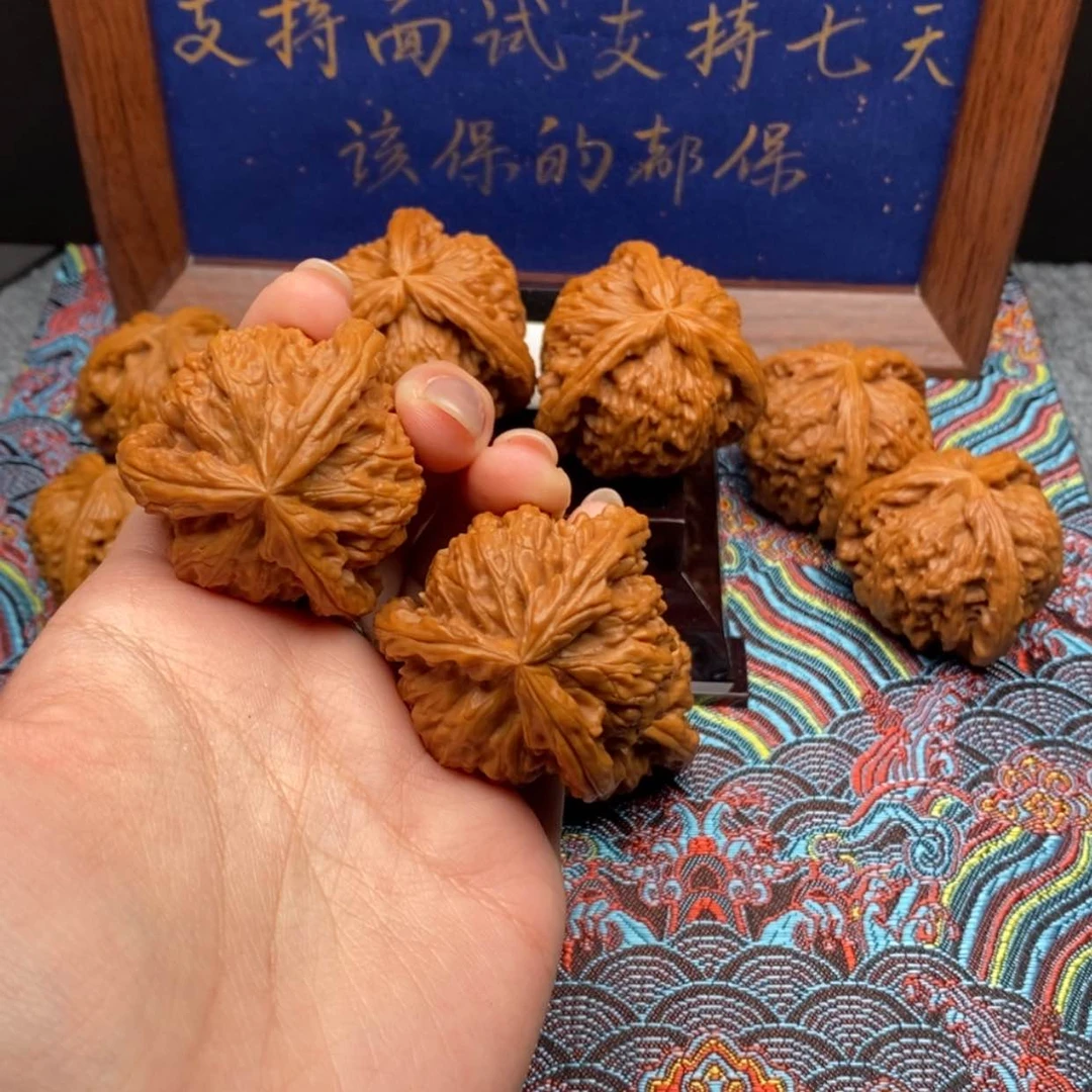 【闪购商品】最*白狮