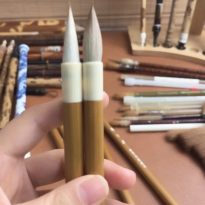 蒲公英6支优惠价。