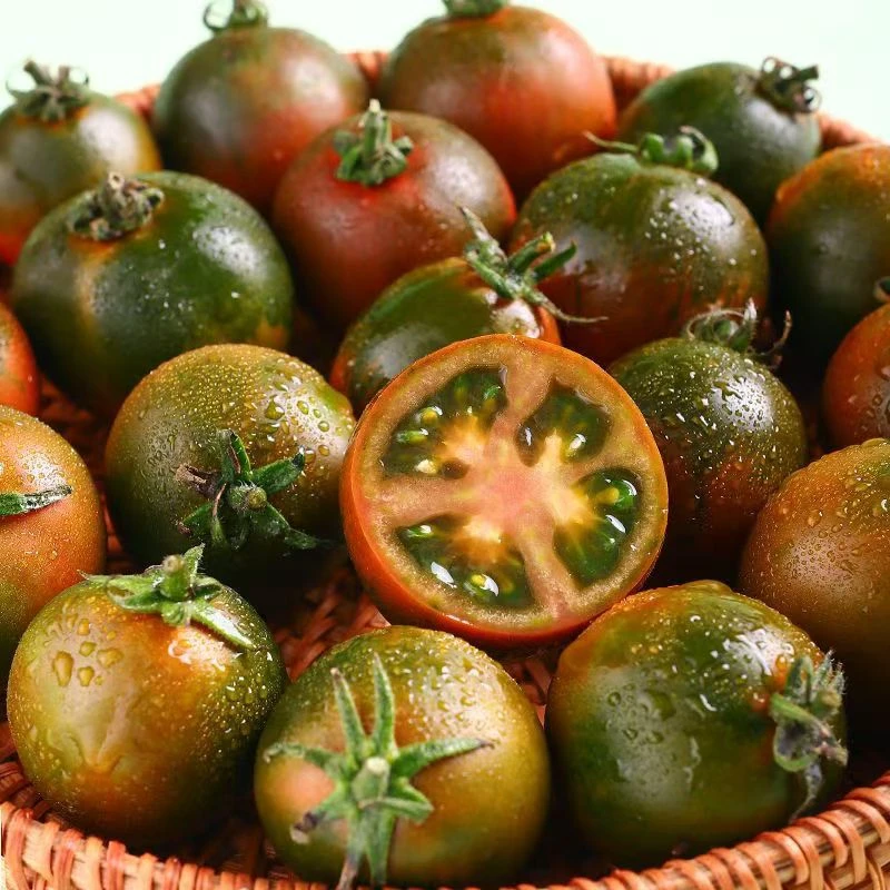 紫宝石小番茄紫春桃巧克力西红柿子新鲜水果农场现采摘