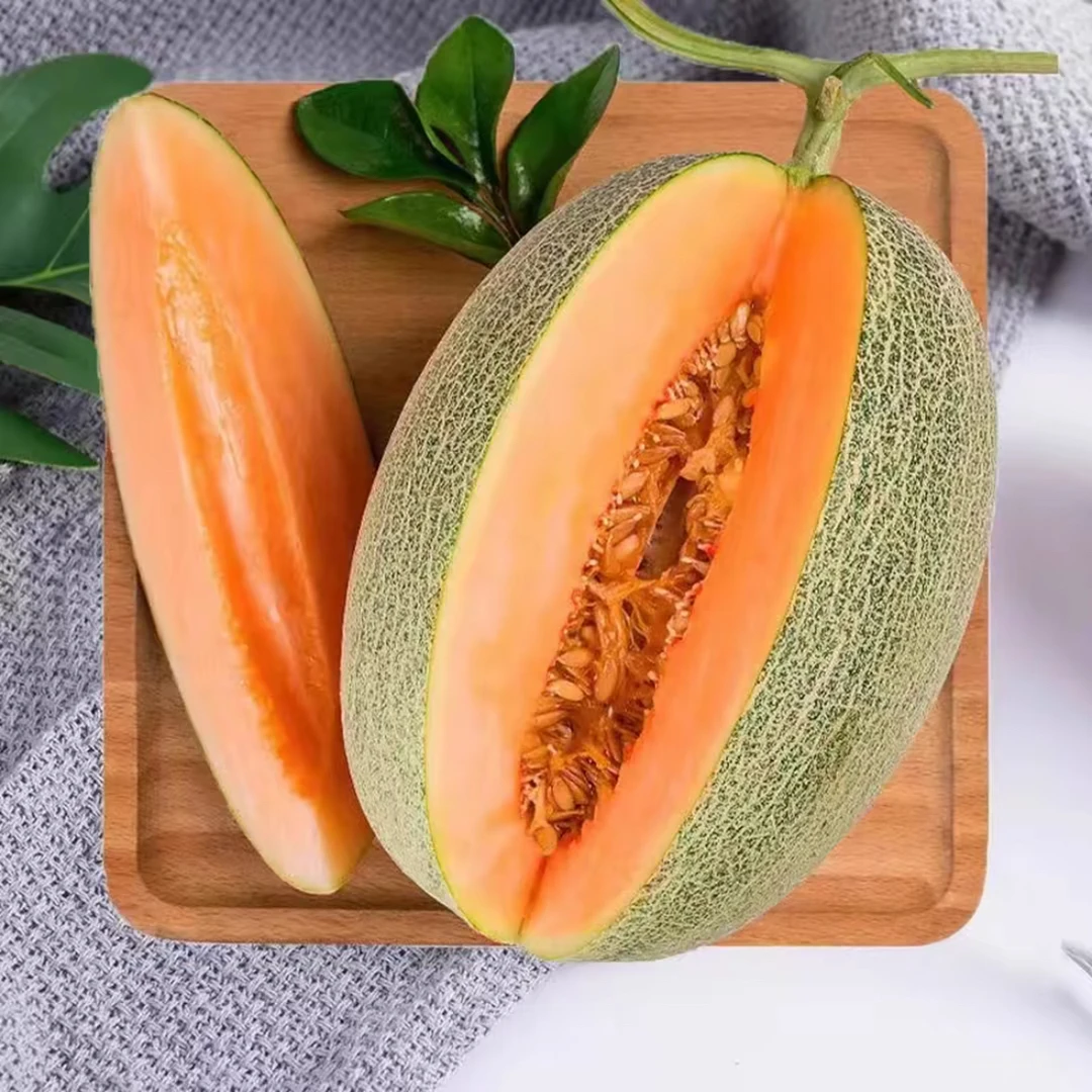 西州蜜  哈密瓜  精品大果2-3个JJ-X