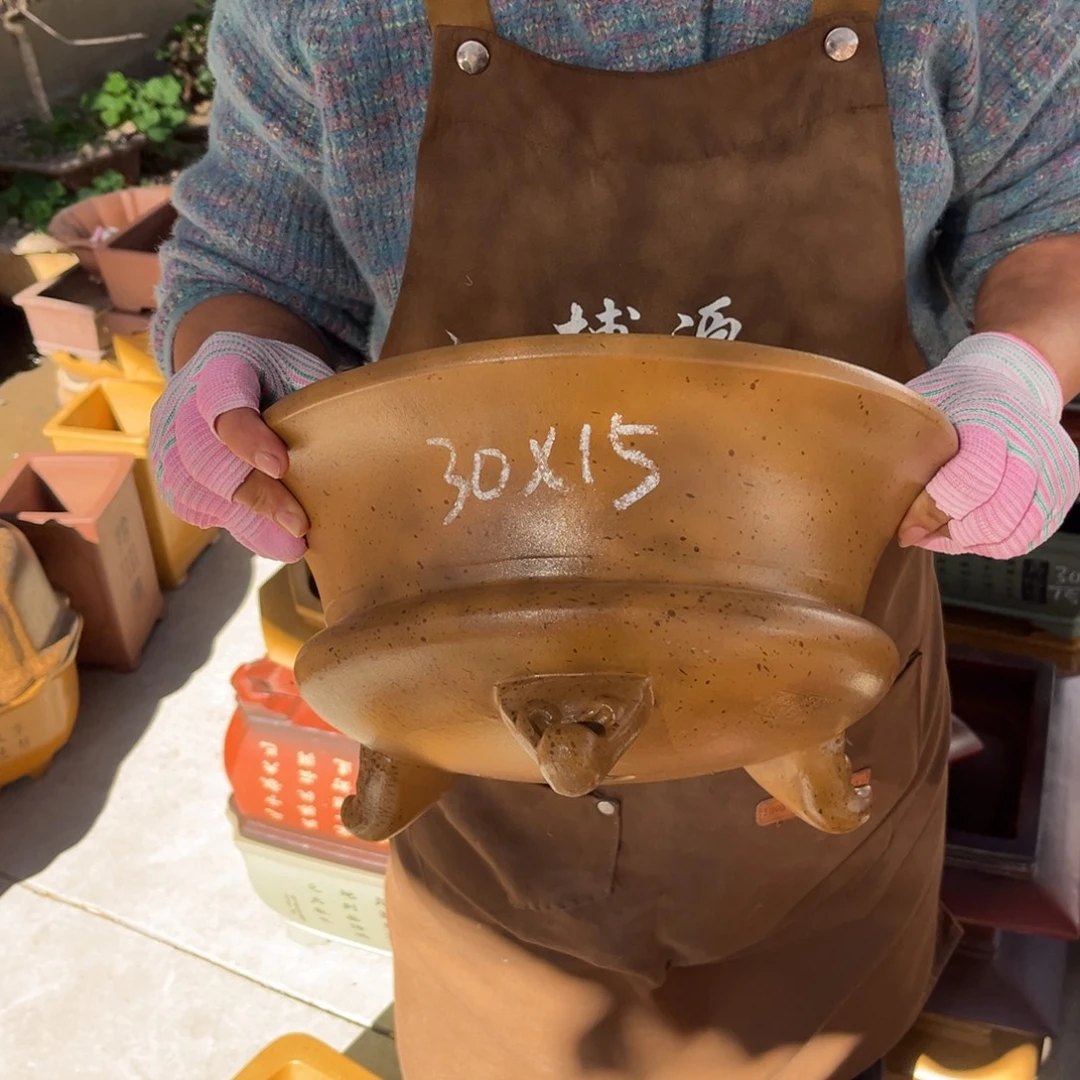 紫砂花盆盆景艺术