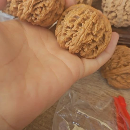 文玩核桃吊坠46粗筋