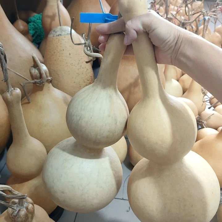 藤家居摆件葫芦摆件