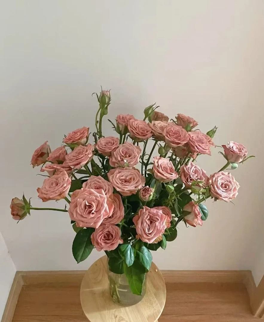 【卡布奇诺多头玫瑰】全场鲜花任意两单及以上包邮