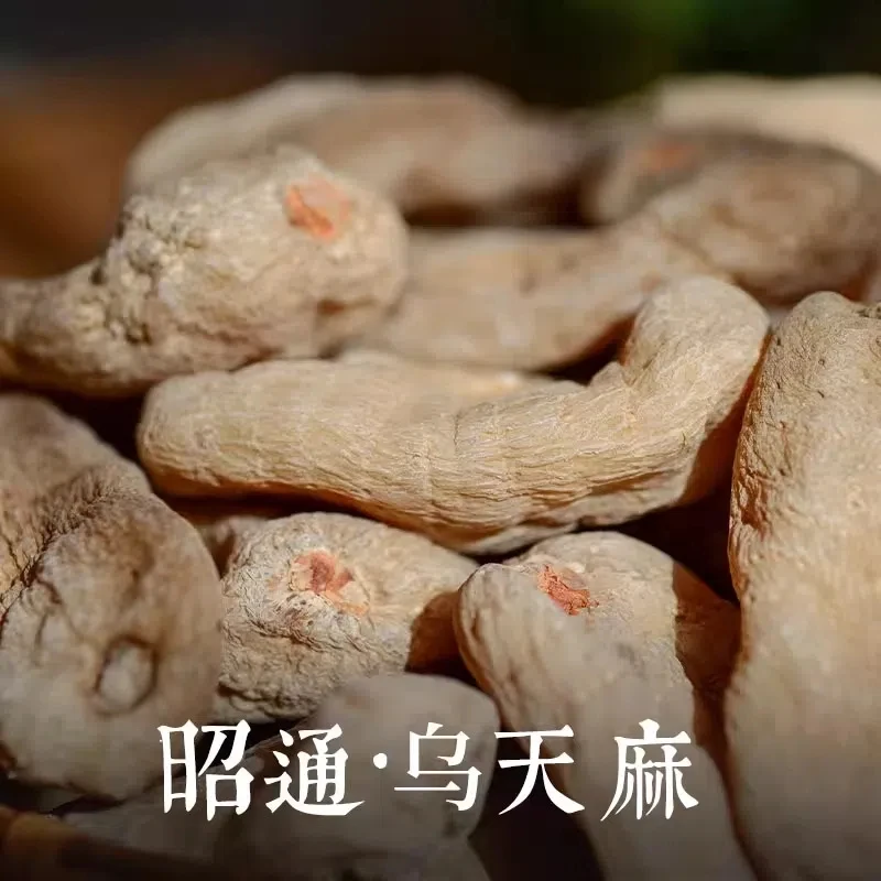 【天麻 整根】小草坝乌天麻  云南昭通  新鲜天麻干货  优质无硫