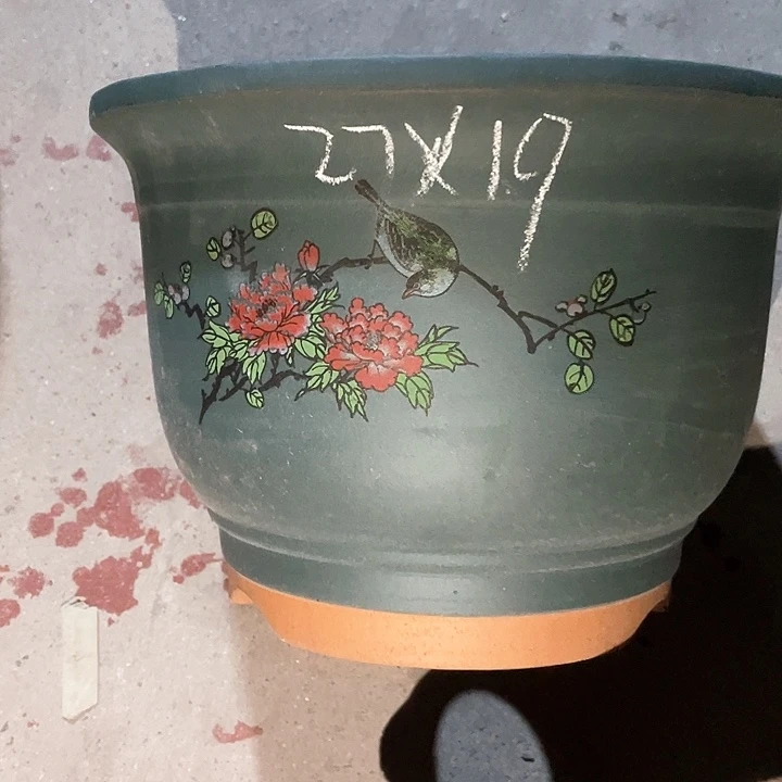 红陶紫砂紫砂紫砂