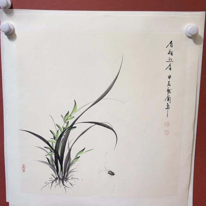 国画听兰老师花鸟