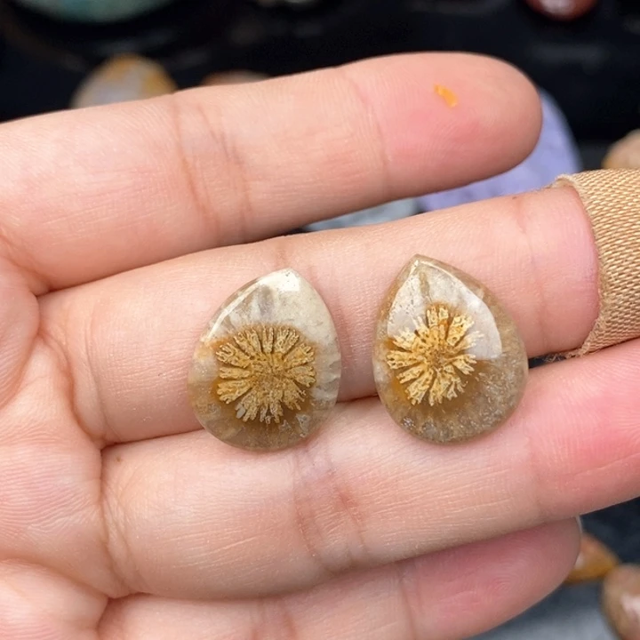 硅化珊瑚（珊瑚玉）手镯未镶嵌